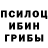 Псилоцибиновые грибы прущие грибы Ludmila Morozov